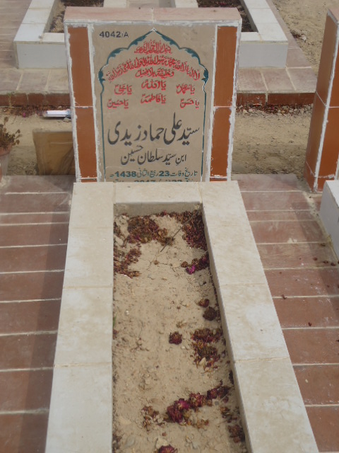 14042 – Syed Ali Hammad Zaidi