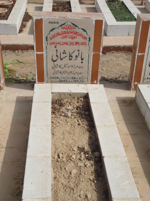 14223 – Bano Kashani