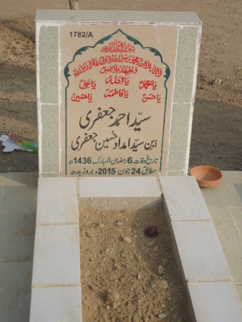 11782 – Syed Ahmed Jaffery