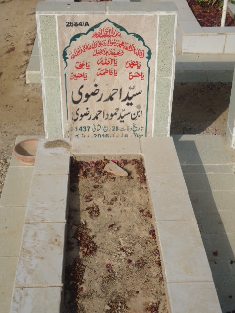 12684 – Syed Ahmed Rizvi