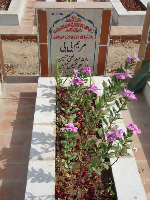 14633 – Marium Bibi