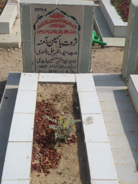 12378 – Sarwat Yasmeen Amna