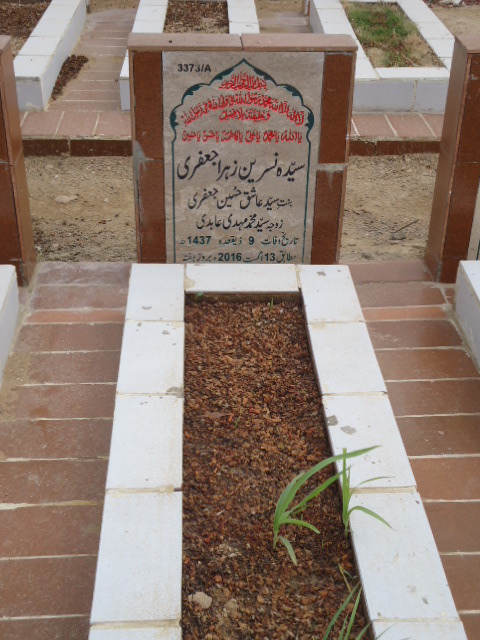 13373 – Syeda Nasreen Zehra Jaffery