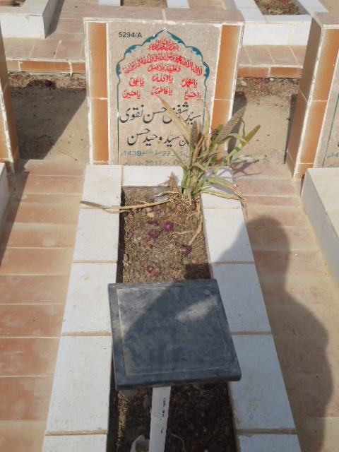 15294 – Syed Shafiq Hassan Naqvi
