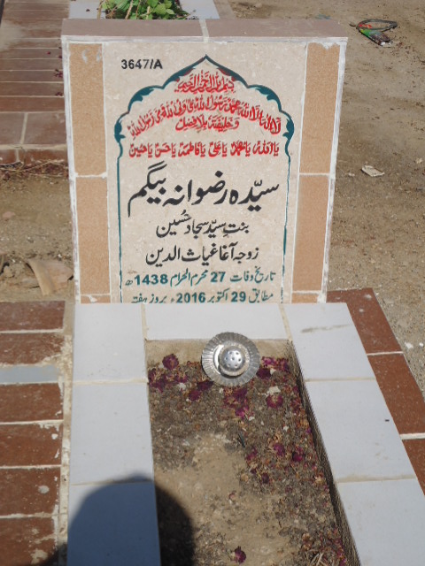 13647 – Syeda Rizwana Begum