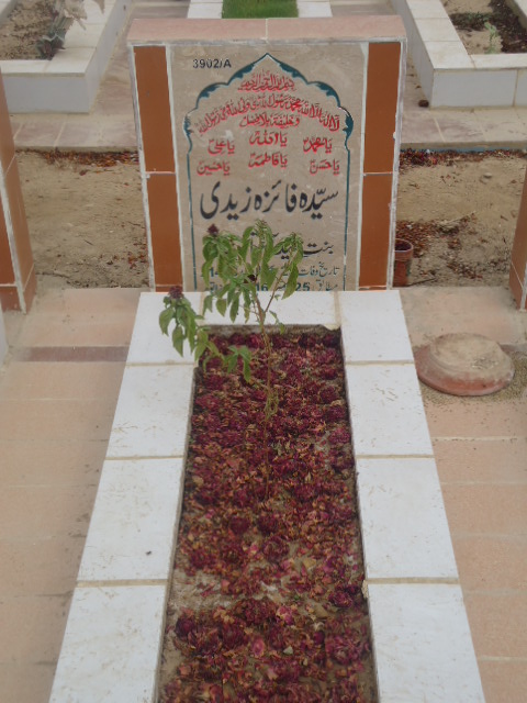 13902 – Syeda Faiza Zaidi