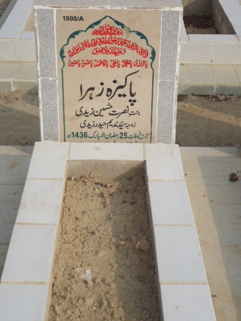 11900 – Pakeza Zehra