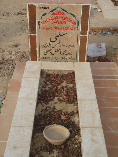 15736 – Salma