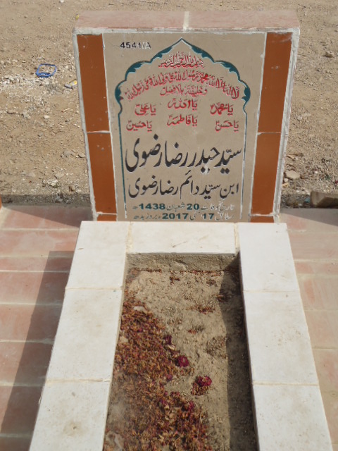 14541 – Syed Haider Raza Rizvi