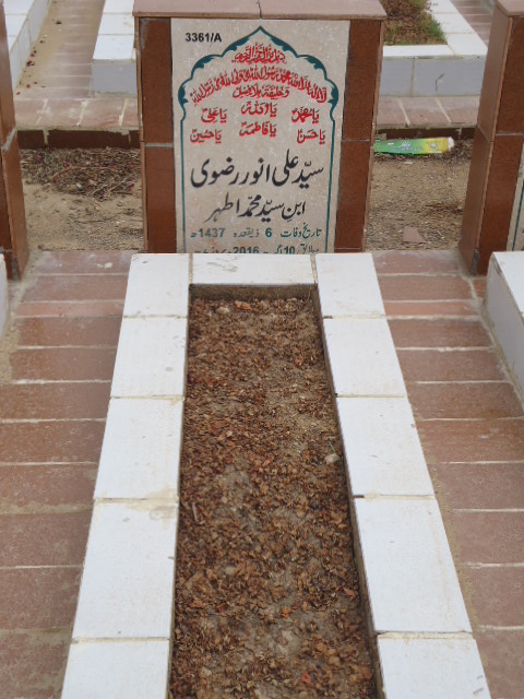 13361 – Syed Ali Anwar Rizvi