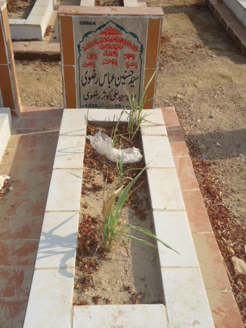 15866 – Syed Hasnain Abbas Rizvi