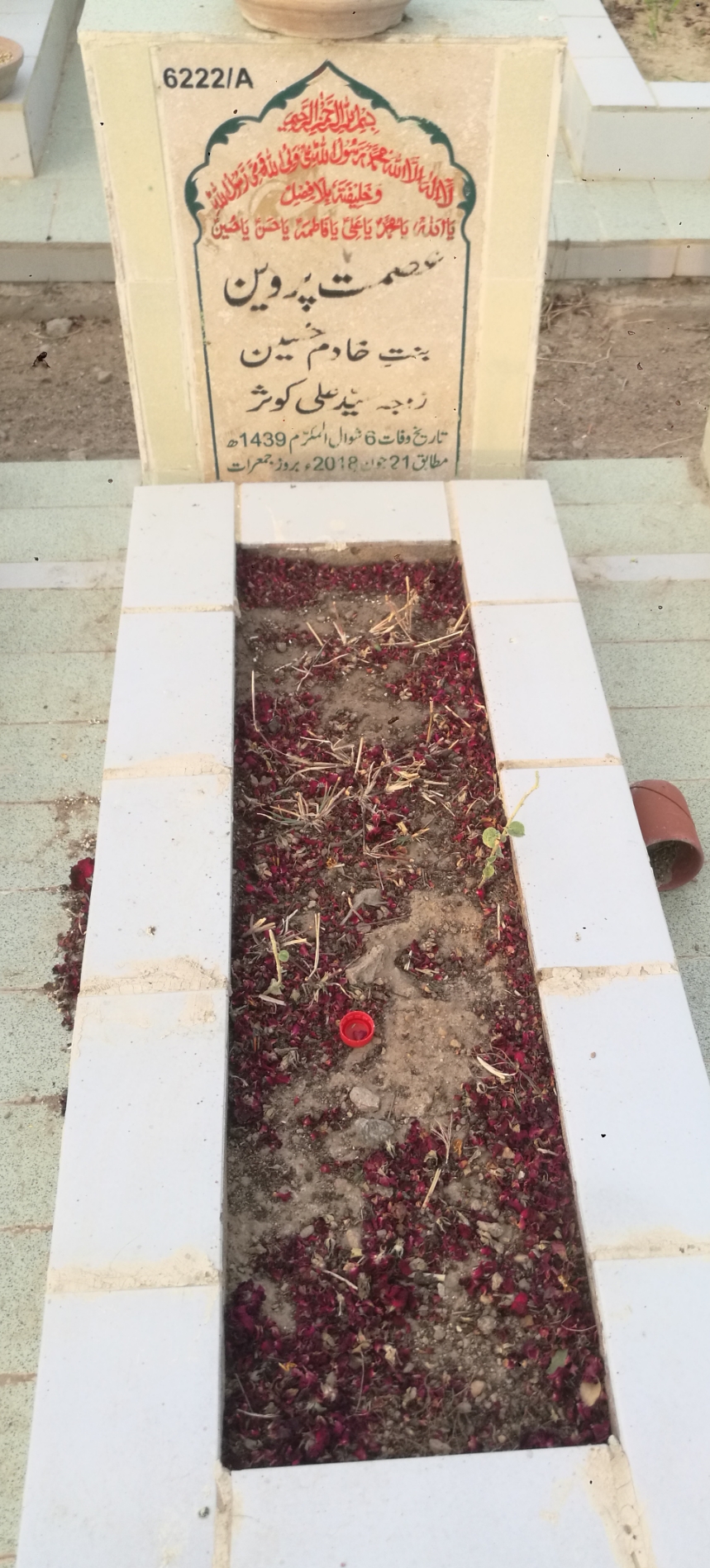 16222 – Asmat Parveen