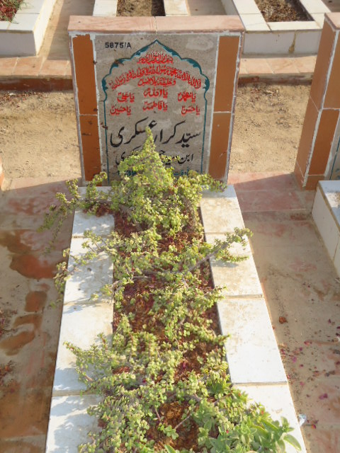 15875 – Syed Karar Askari