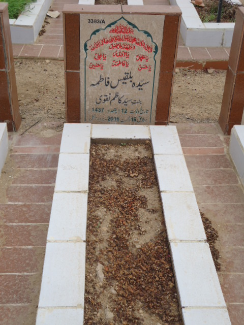 13383 – Syeda Bilques Fatima