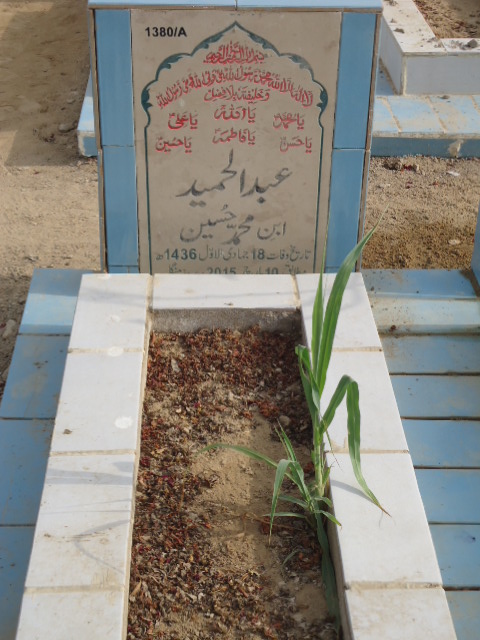 11380 – Abdul Hameed