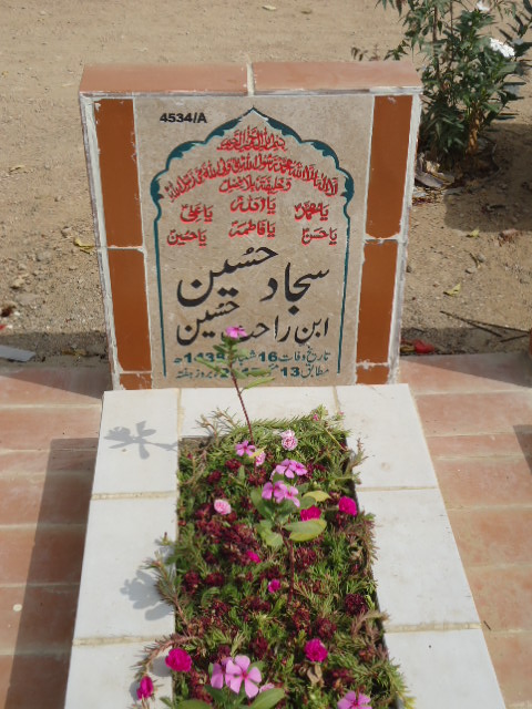 14534 – Sajjad Hussain
