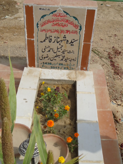 14567 – Syeda Shehnaz Fatima