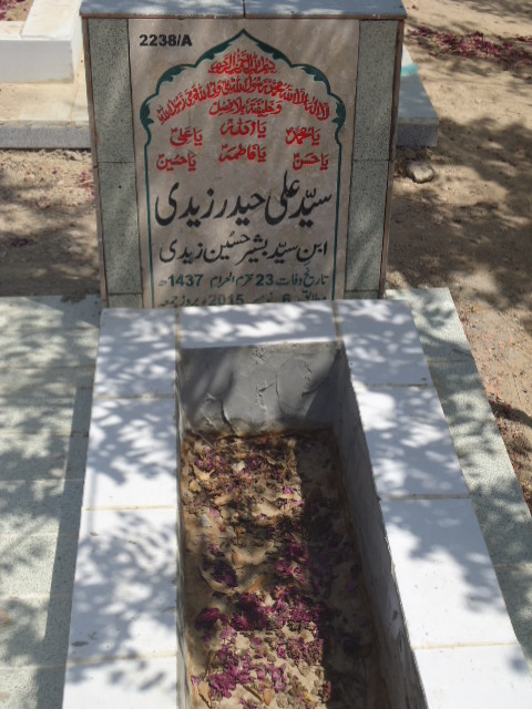 12238 – Syed Ali Haider Zaidi