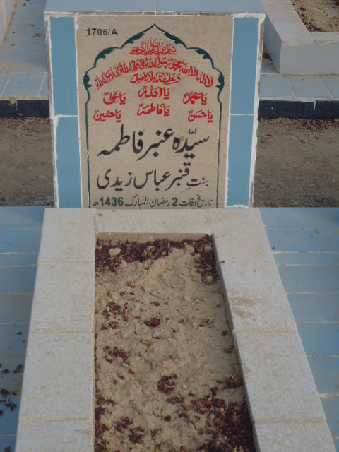 11706 – Syeda Amber Fatima