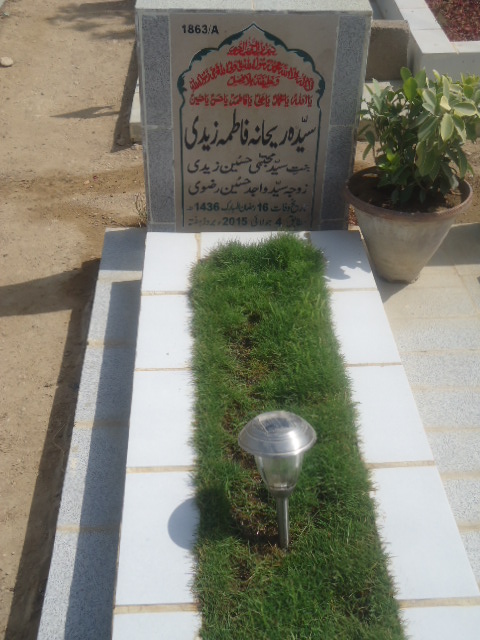 11863 – Syeda Rehana Fatima Zaidi