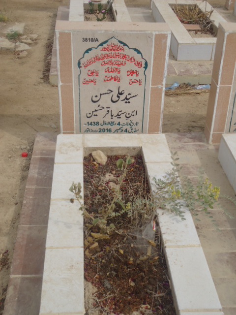 13810 – Syed Ali Hassan