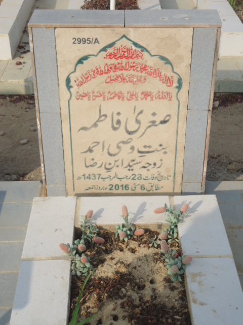 12995 – Sughra Fatima