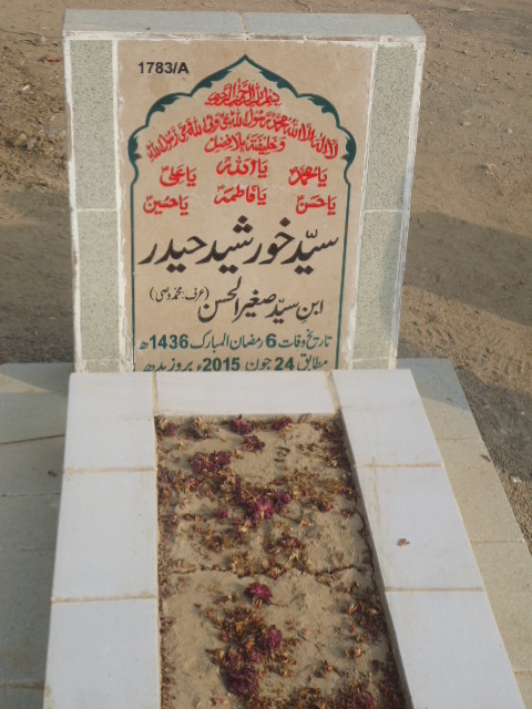 11783 – Syed Khursheed Haider