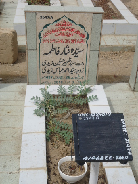 12547 – Syeda Nisar Fatima