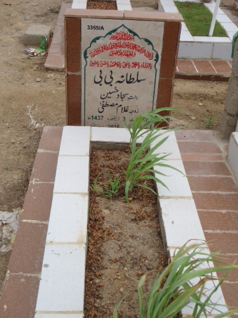 13355 – Sultana Bibi