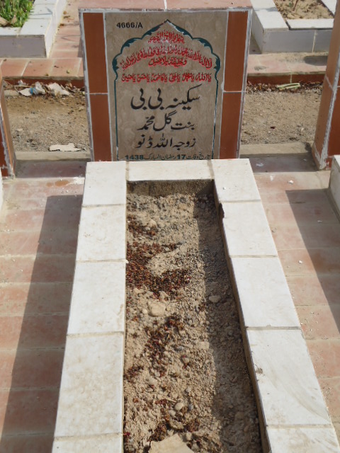 14666 – Sakina Bibi
