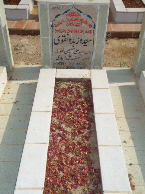 16056 – Syeda Zehda Naqvi