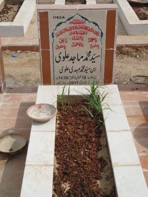 14763 – Syed Muhammad Majid Alvi