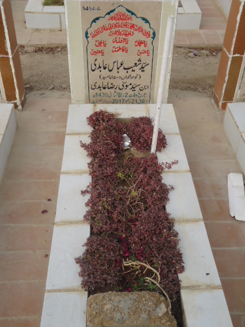 15454 – Syed Shoaib Abbas Abidi