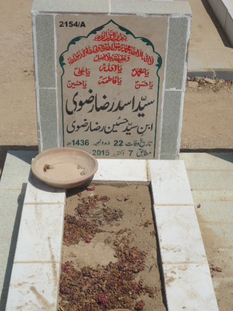 12154 – Syed Asad Raza Rizvi