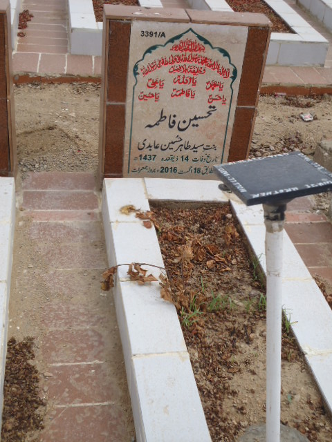 13391 – Tehseen Fatima