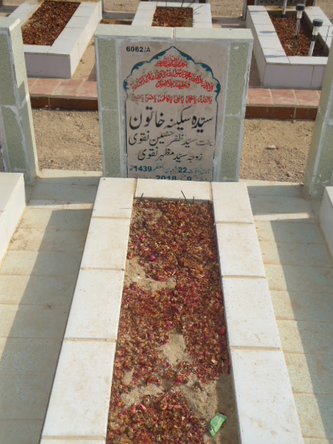 16062 – Syeda Sakina Khatoon