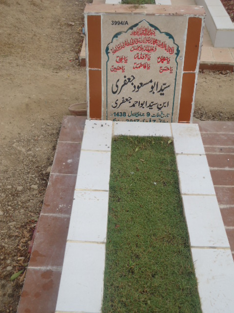 13994 – Syed Abu Masood Jaffery