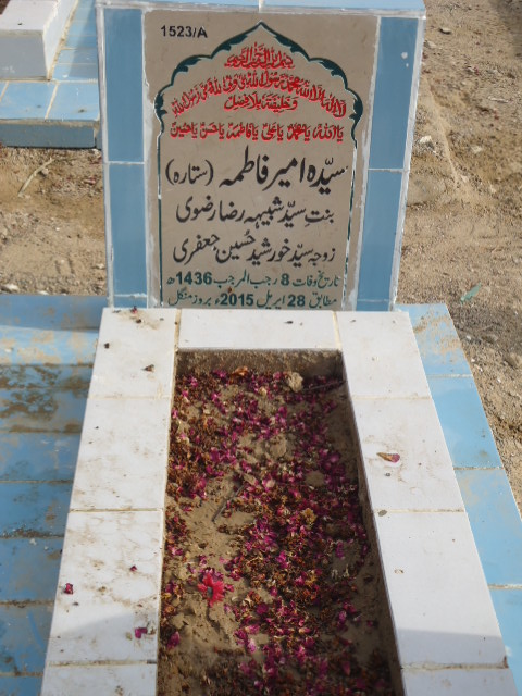 11523 – Syeda Ameer Fatima