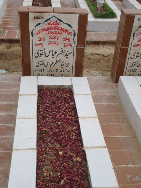 13357 – Syed Afsar Abbas Naqvi