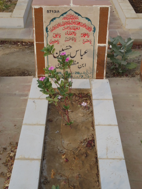 15713 – Abbas Hussain