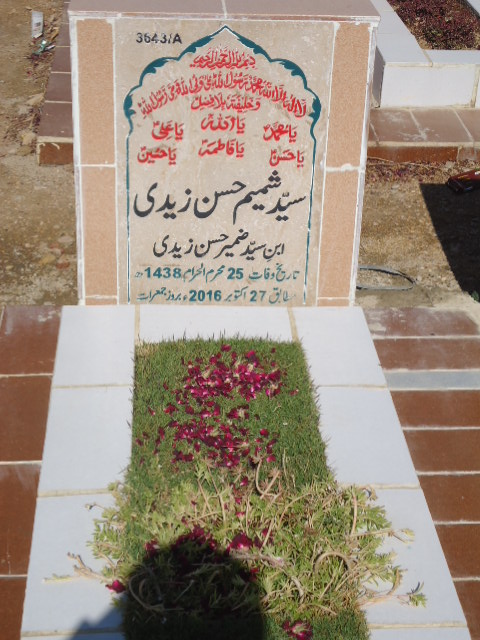 13643 – Syeda Shamim Hassan Zaidi