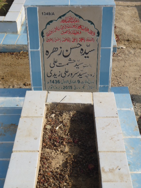 11349 – Syeda Hasan Zehra