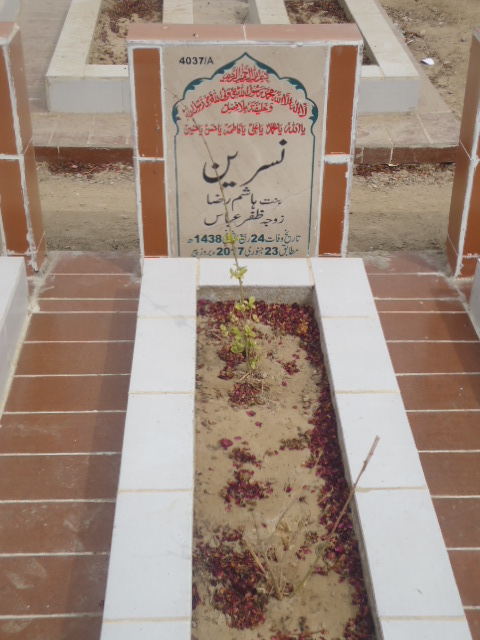 14037 – Nasreen