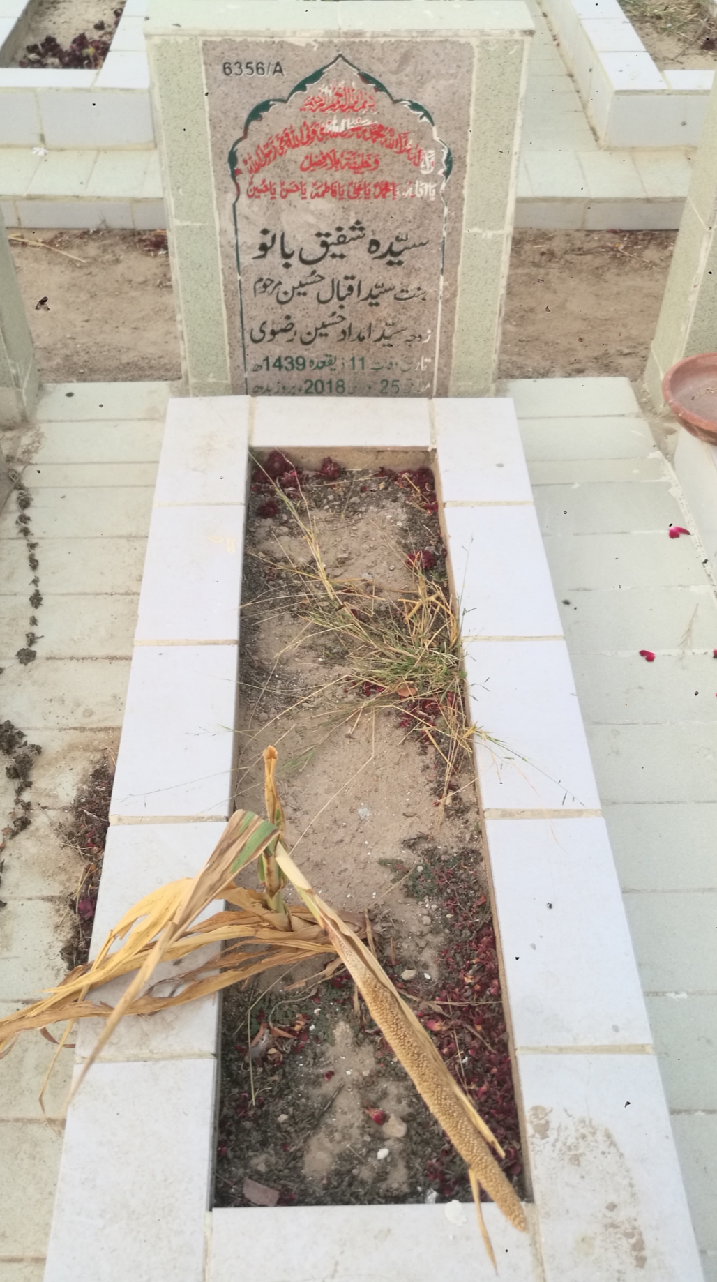 16356 – Syeda Shafique Bano