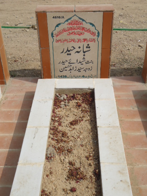 14616 – Shabana Haider