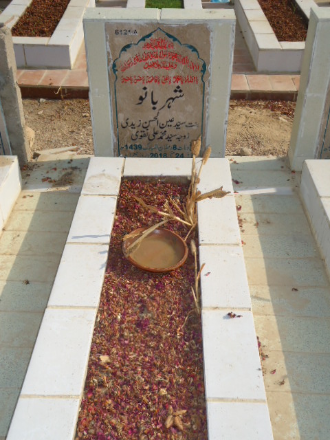 16121 – Sheharbano