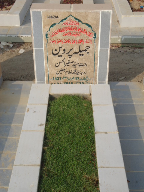 13067 – Jameela Parveen