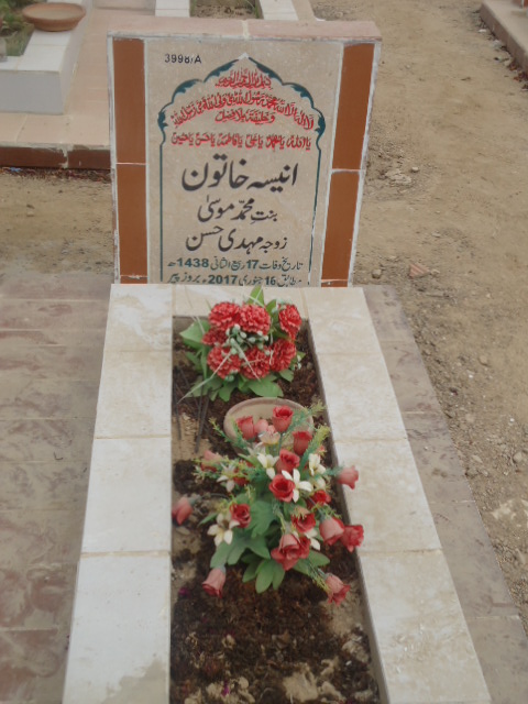 13998 – Aneesa Khatoon