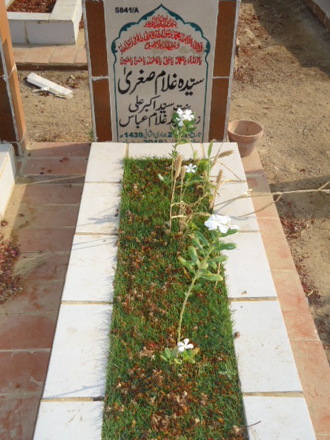 15841 – Syeda Ghulam Sughra