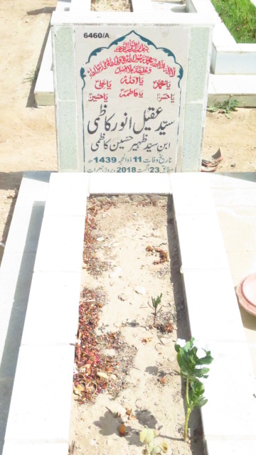 16460 – Syed Aqeel Anwar Kazmi